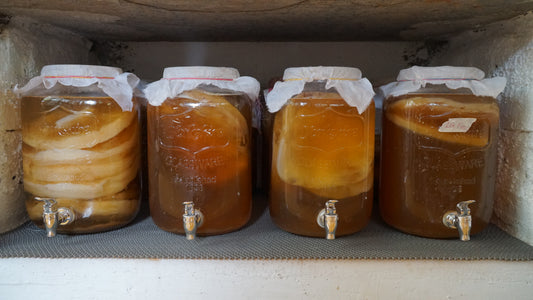What are the benefits of kombucha?
