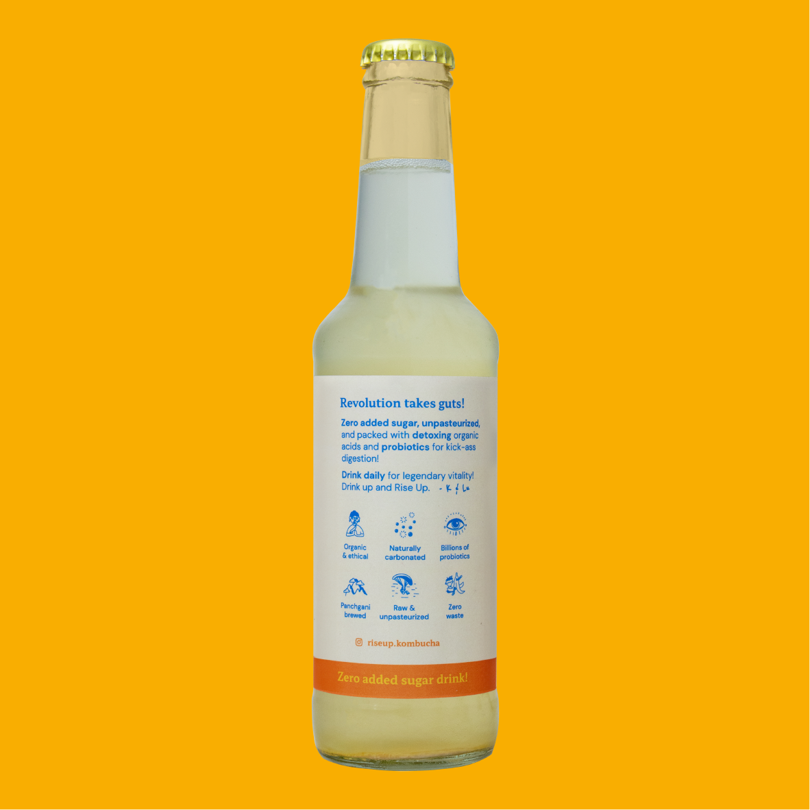 Turmeric Ginger Kombucha *Seasonal*