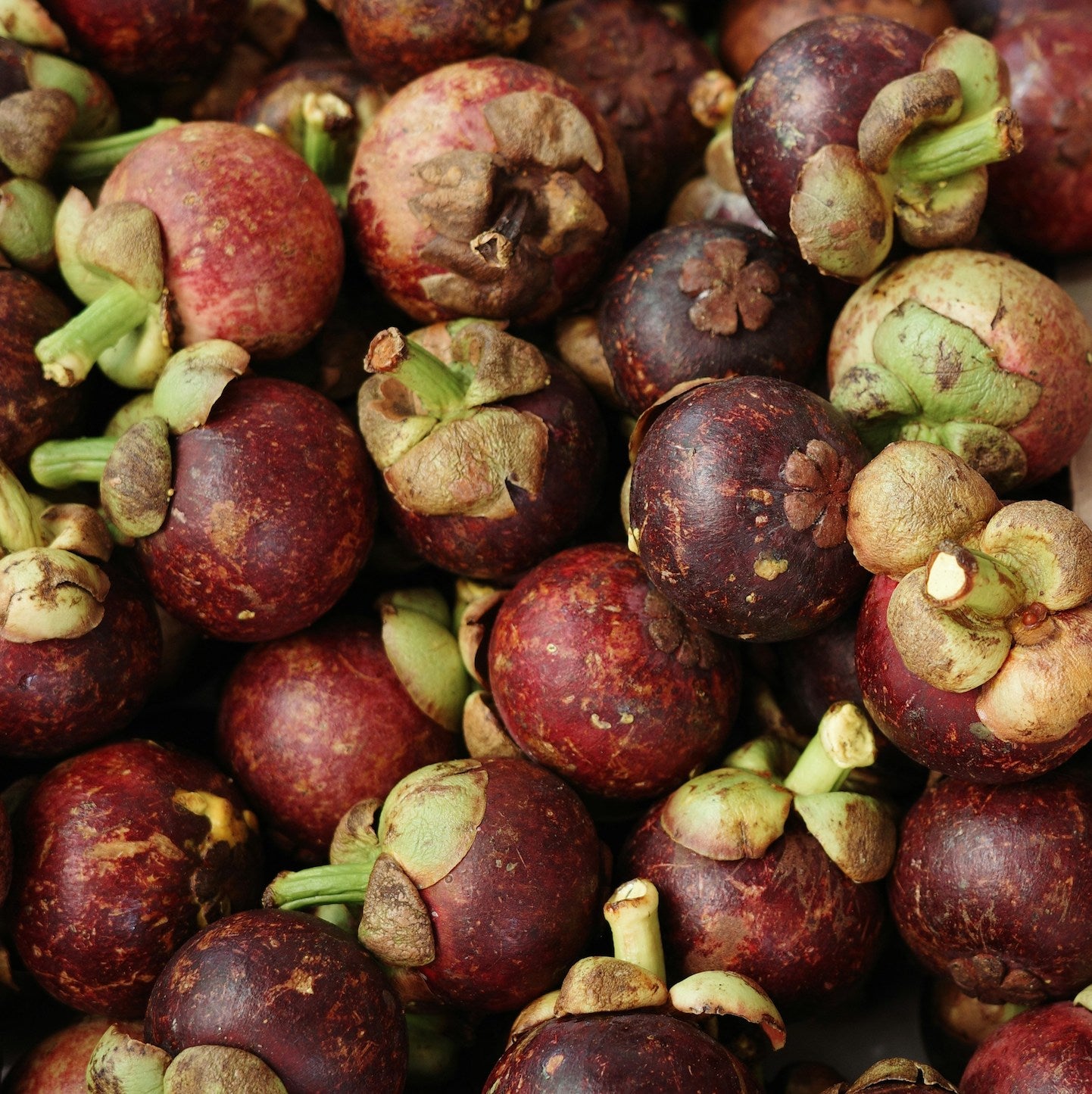 Kokum Kombucha