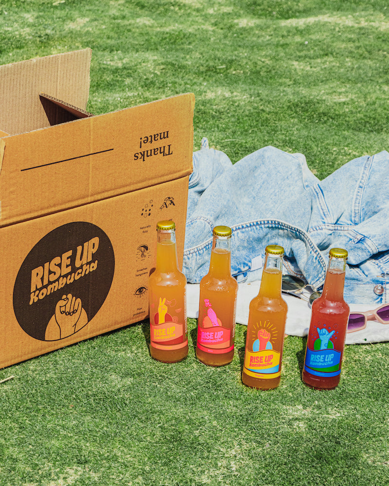Party Pack (24 pack - mix flavours)