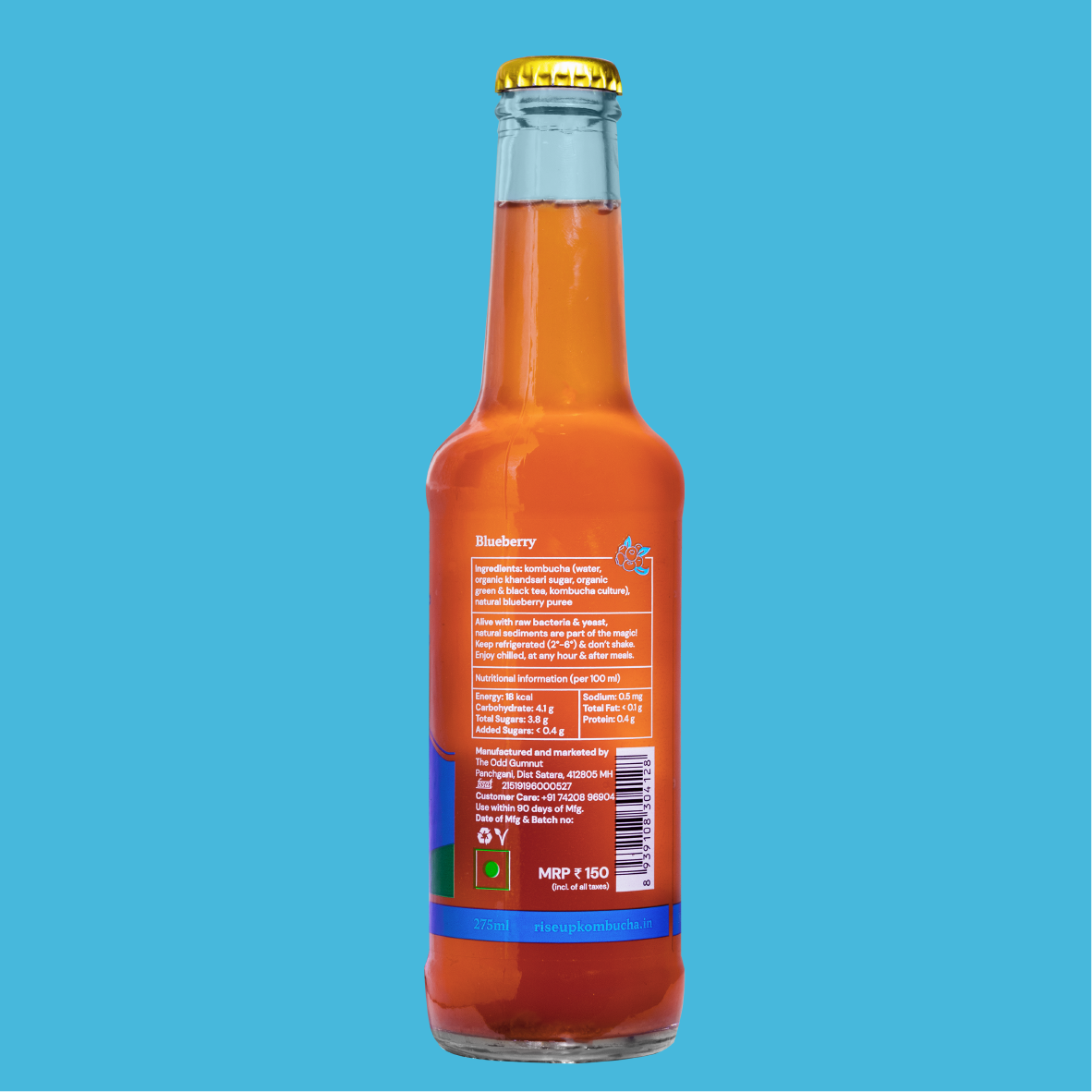 Blueberry Kombucha