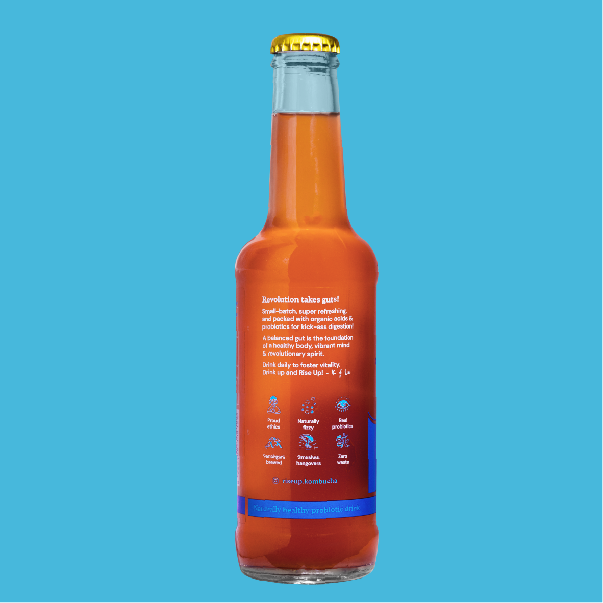 Blueberry Kombucha