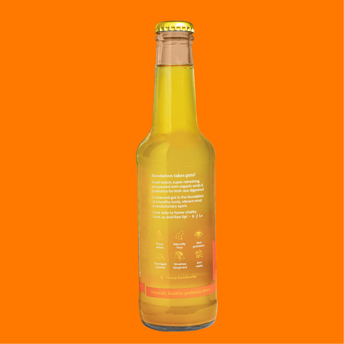Lemon & Ginger Kombucha